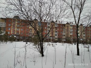 Омск, Улица Перелёта, 14/1: фото