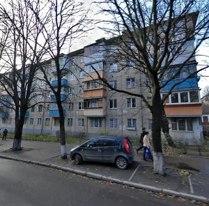 Mykoly Vasylenka Street, 4, Kyiv: photo