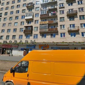 Veteranov Avenue, 151к1, Saint Petersburg: photo