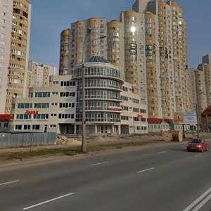 Dniprovska Embankment, 21, Kyiv: photo