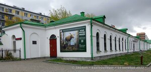 Gorkogo Street, 4, Yekaterinburg: photo