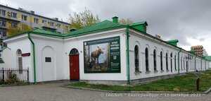 Екатеринбург, Улица Горького, 4: фото