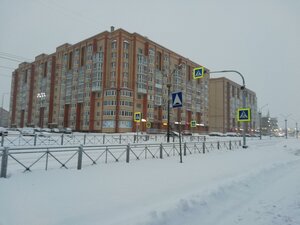 Lomonosova Street, 45, Veliky Novgorod: photo