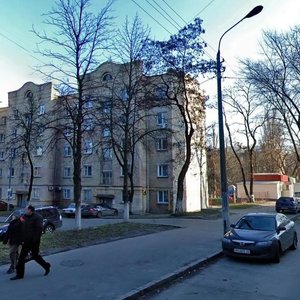 Simi Khokhlovykh Street, 4, Kyiv: photo