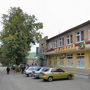 Vulytsia Siedova, 13, Boiarka: photo