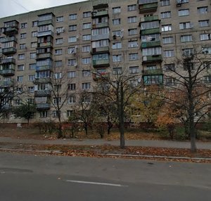 Sholom-Aleikhema Street, 5, Kyiv: photo