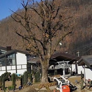 Olimpiyskaya Street, 24, Sochi: photo