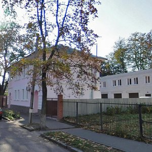 Remisnycha vulytsia, 18, : foto