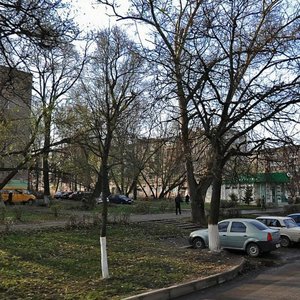 Frunze Street, 17, Tula: photo