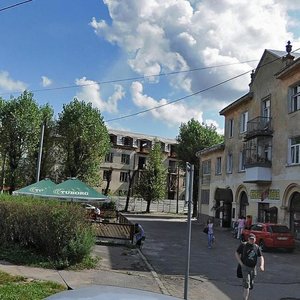 Videnska vulytsia, 6, Lviv: photo