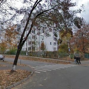Vasylia Zhukovskoho Lane, 10, Kyiv: photo