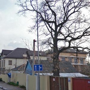 Gelendzhikskiy Avenue, 81 ، : صورة