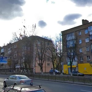 Oleny Telihy Street, 9, Kyiv: photo