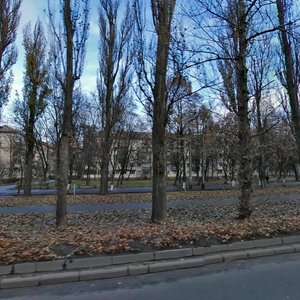 Vatslava Havela Boulevard, 85, Kyiv: photo