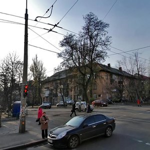 Kateryny Bilokur Street, 2/8, Kyiv: photo