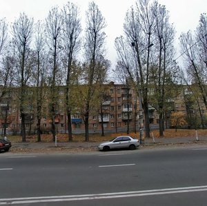 Vidradnyi Avenue, 12, Kyiv: photo