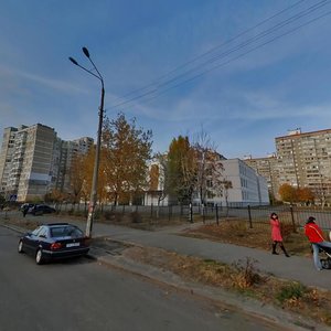 Oleksandra Koshytsia Street, 8, Kyiv: photo