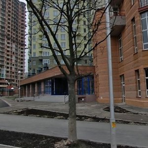 Kudriashova Street, 20В, Kyiv: photo