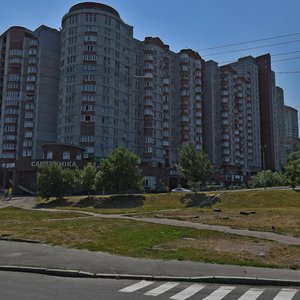 Saperno-Slobidska Street, No:8к1, Kiev: Fotoğraflar