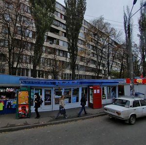 Politekhnichnyi Lane, 3, Kyiv: photo