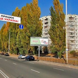 Teodora Draizera Street, 20, Kyiv: photo