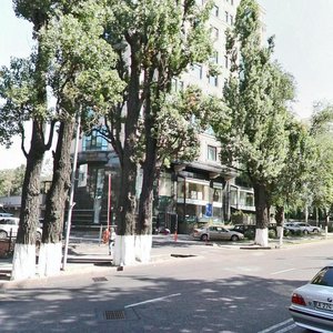 Dostyk Avenue, 250, Almaty: photo