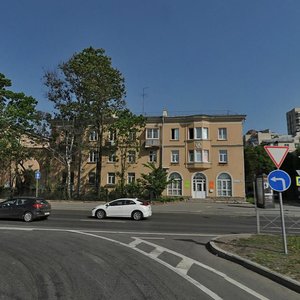 Primorskiy Avenue, 33, Saint Petersburg: photo