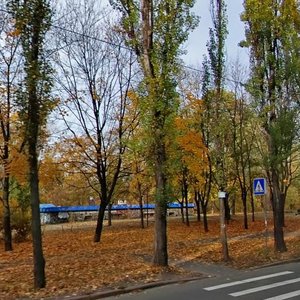 Rusanivska Embankment, 7, Kyiv: photo