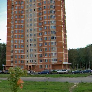 Lenina Avenue, 201, : foto