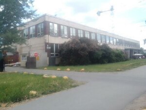 Shkolnaya Street, 41 ، سان بطرسبرغ: صورة