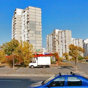 Serzha Lyfaria Street, 20А, Kyiv: photo