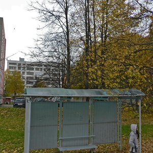 Sciebianiova Street, 20/2, : foto
