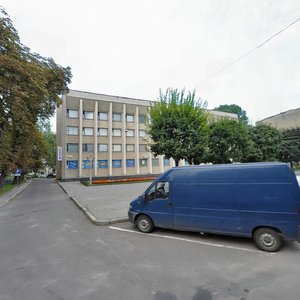 Ulitsa Konstantina Levitskogo, 67, Lviv: photo