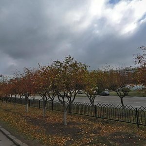 Mira Avenue, 22А, Naberezhnye Chelny: photo