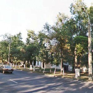 Suyunbai Avenue, 201, Almaty: photo