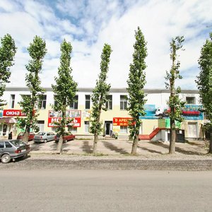 Пермь, Улица Василия Васильева, 3: фото