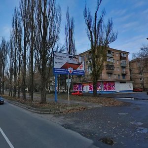 Vatslava Havela Boulevard, 75 ، كييف: صورة