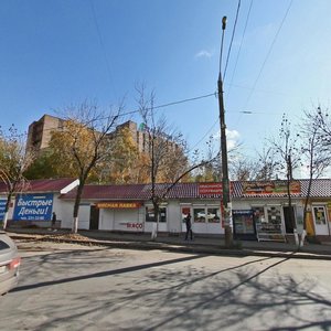 Tukhachevskogo Street, 227А, Samara: photo