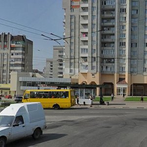 Львов, Проспект Вячеслава Черновола, 103: фото