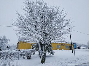 Zelyonaya ulitsa, 3, Minsk District: photo