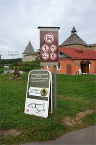 Санкт‑Петербург и Ленинградская область, Волховский проспект, 22: фото