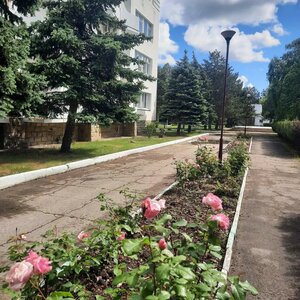 Pionerskiy prospekt, 25, Anapa: photo