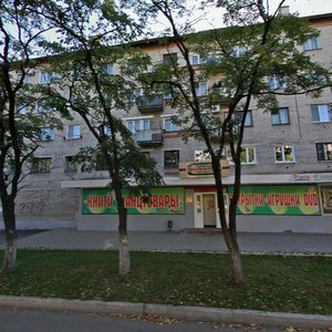 Dimitrova Street, 5, Birobidgan: photo