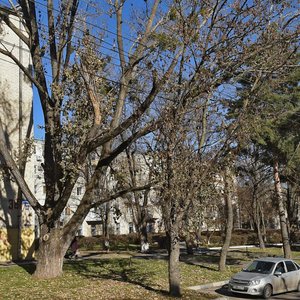 Mira Street, 367/23, Stavropol: photo