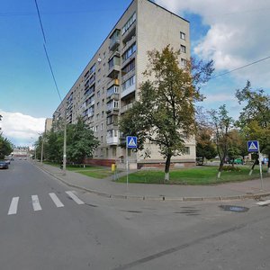 Ihoria Kachurovskoho Lane, 1 ، كييف: صورة