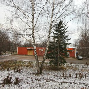 Tsentralnaya ulitsa, 14А, Nizhny Novgorod Oblast': photo