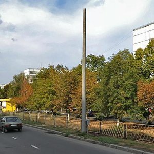 Тольятти, Улица Ворошилова, 39: фото