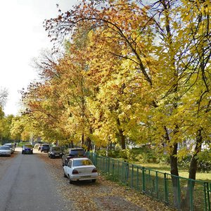 9 Yanvarya Street, 249, Izhevsk: photo