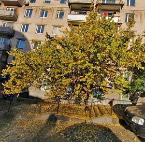 Shovkovychna Street, 46/48, Kyiv: photo