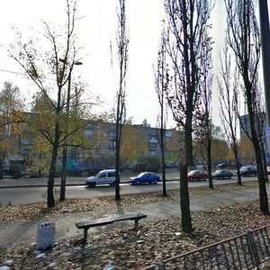 Vatslava Havela Boulevard, 29, Kyiv: photo